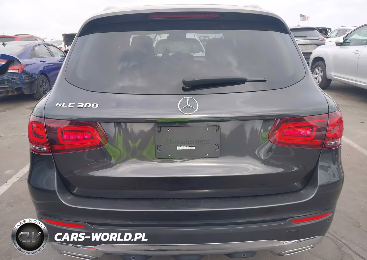 2021 Mercedes-Benz Glc 300 Suv VIN:W1N0G8DB9MF897451 - 17