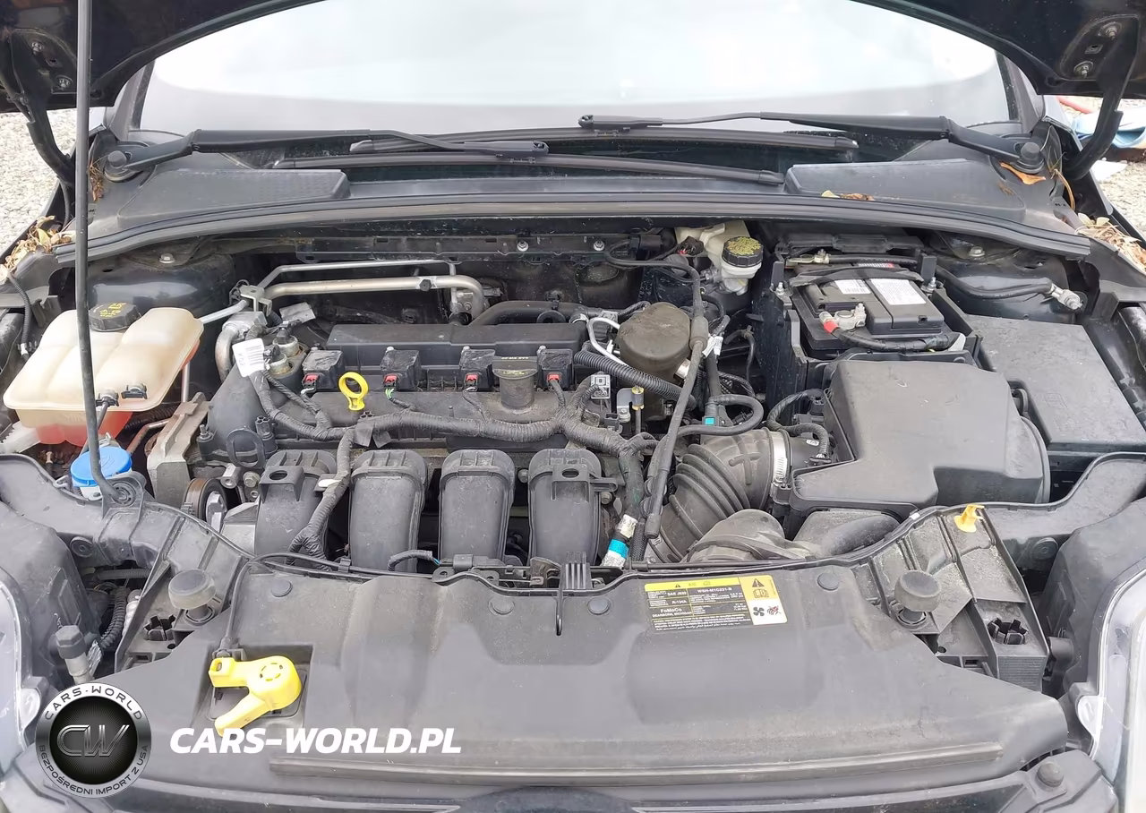 2014 Ford Focus Se VIN:1FADP3F28EL233840 - 10