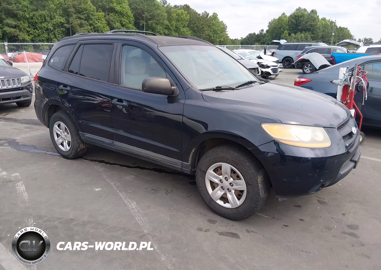 2009 Hyundai Santa Fe Gls