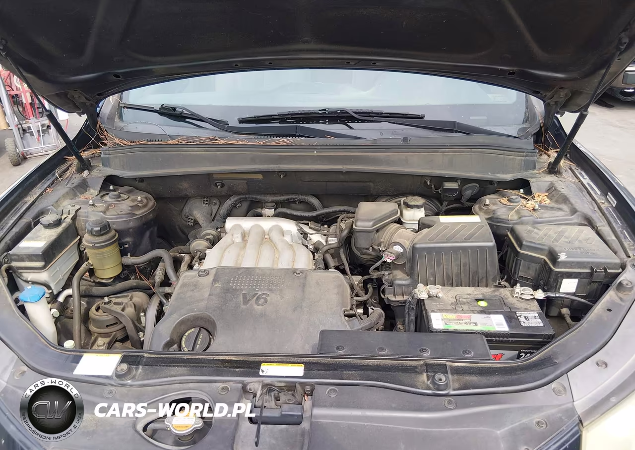 2009 Hyundai Santa Fe Gls VIN:5NMSG73D89H263264 - 10