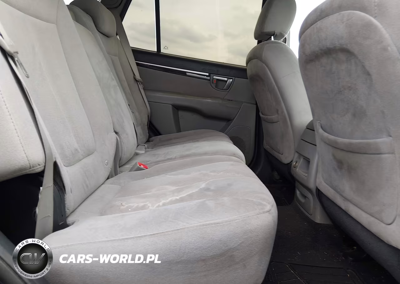 2009 Hyundai Santa Fe Gls VIN:5NMSG73D89H263264 - 8