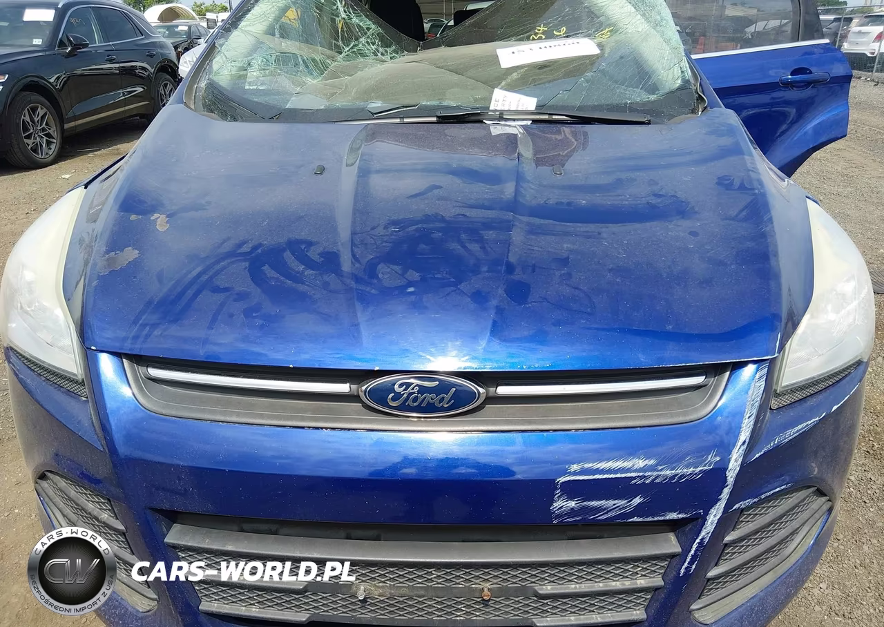 2015 Ford Escape Se VIN:1FMCU9GX2FUC54542 - 10