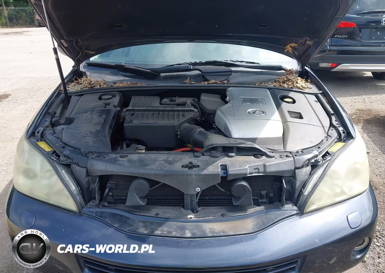 2006 Lexus Rx 400H VIN:JTJHW31U460016714 - 10