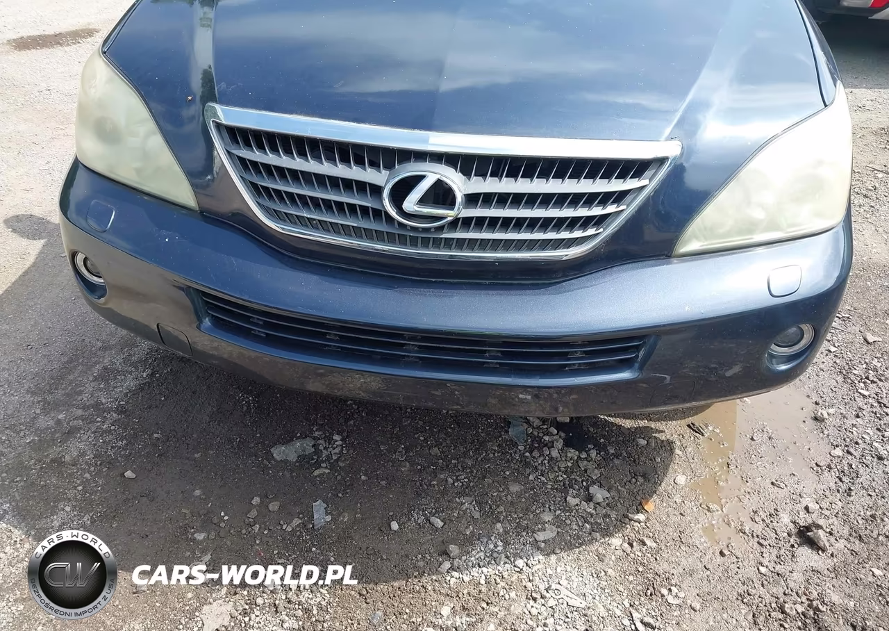 2006 Lexus Rx 400H VIN:JTJHW31U460016714 - 6