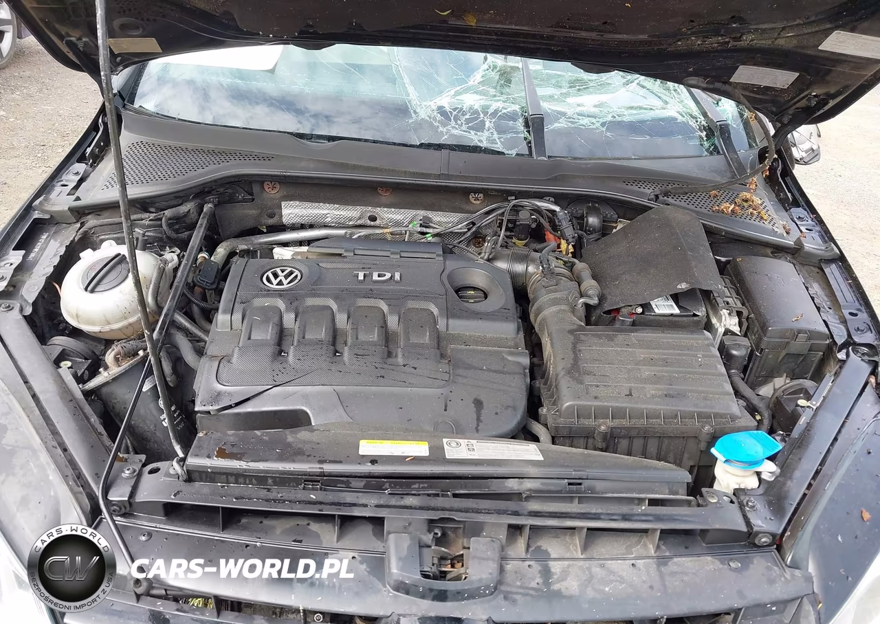 2015 Volkswagen Golf Sportwagen Tdi S 4-Door VIN:3VWFA7AU2FM516641 - 10