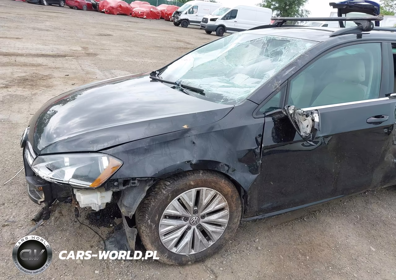 2015 Volkswagen Golf Sportwagen Tdi S 4-Door VIN:3VWFA7AU2FM516641 - 6