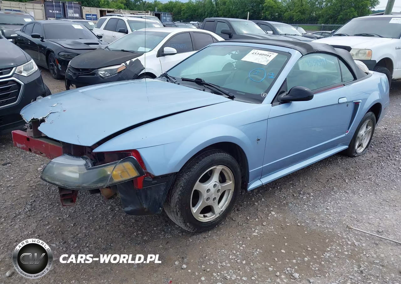 2003 Ford Mustang VIN:1FAFP44423F354538 - 2