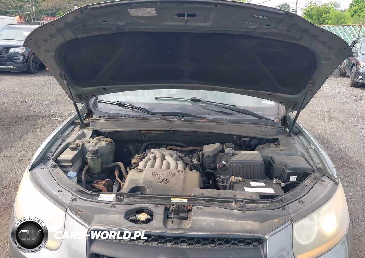 2009 Hyundai Santa Fe Gls VIN:5NMSG13D79H263690 - 10