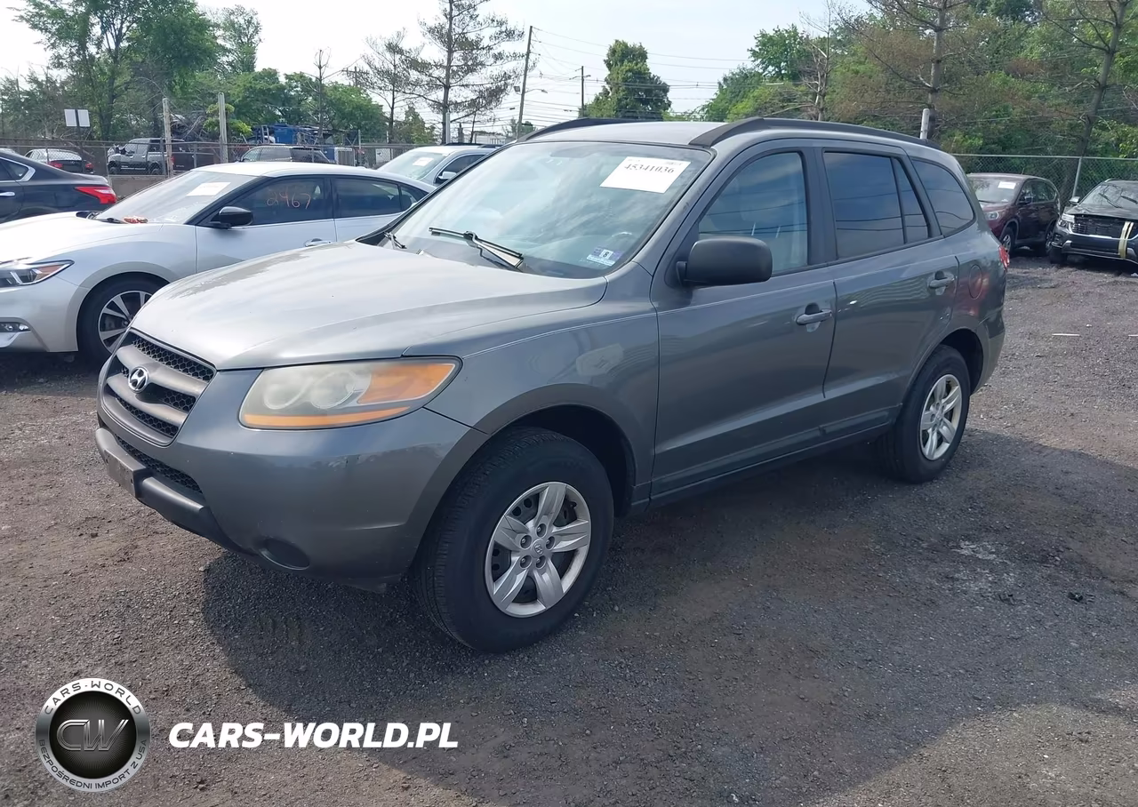 2009 Hyundai Santa Fe Gls VIN:5NMSG13D79H263690 - 2