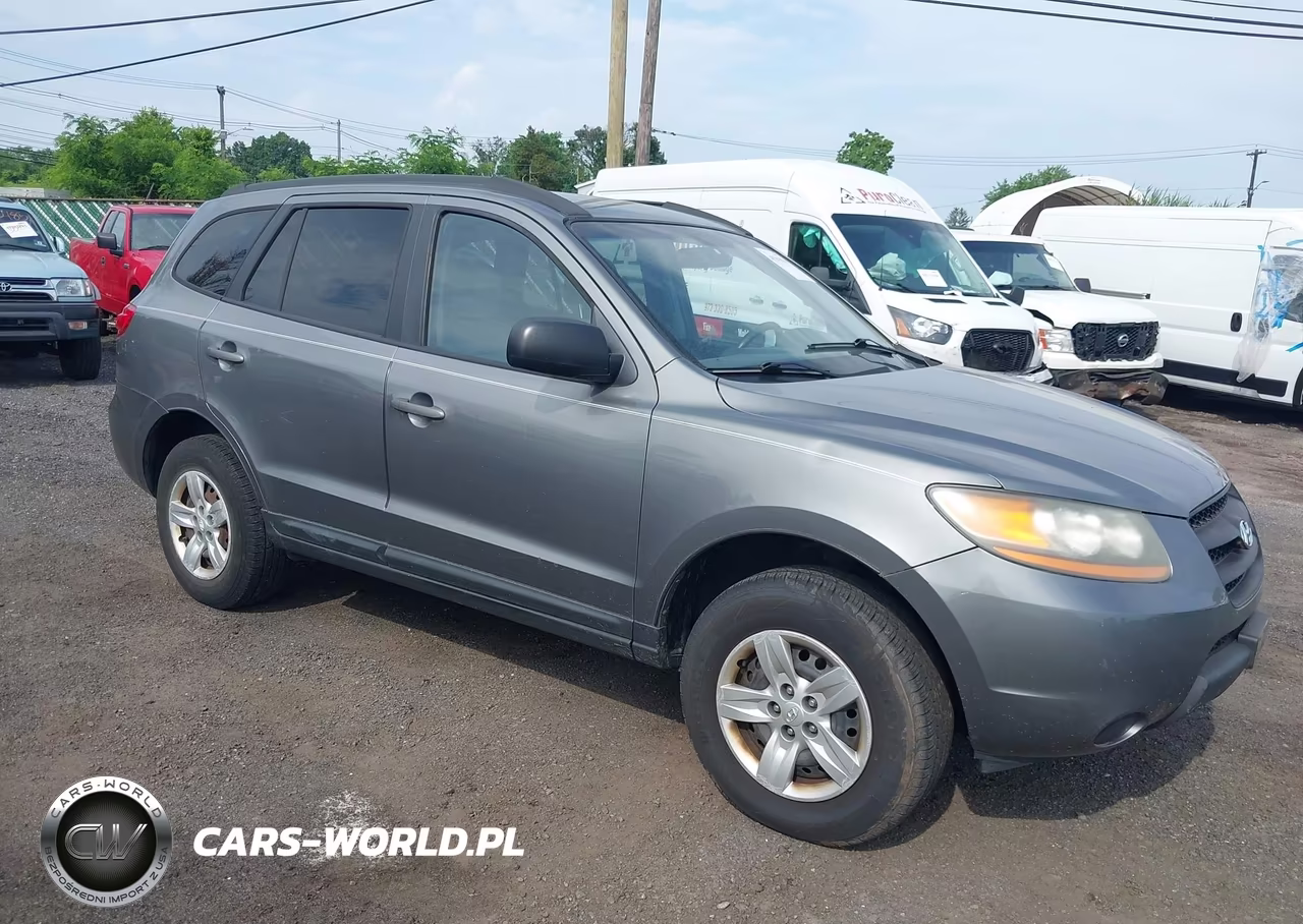 2009 Hyundai Santa Fe Gls VIN:5NMSG13D79H263690 - 6