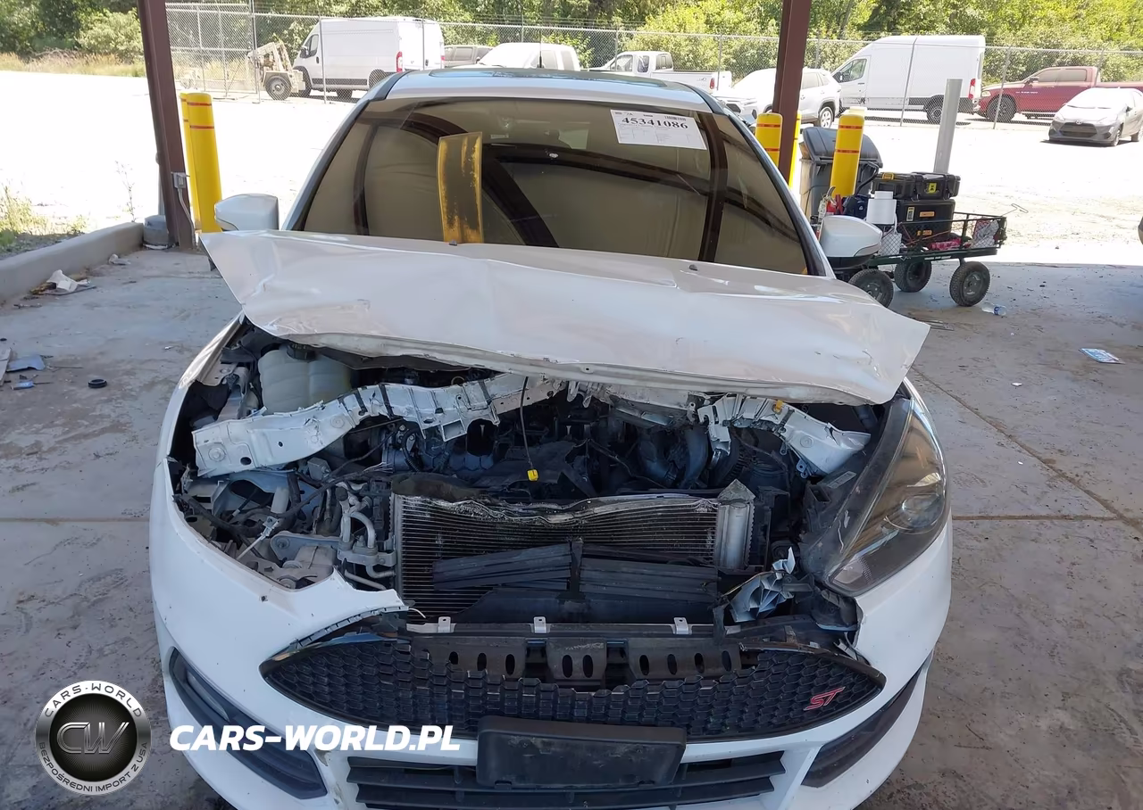 2015 Ford Focus St VIN:1FADP3L92FL281689 - 13