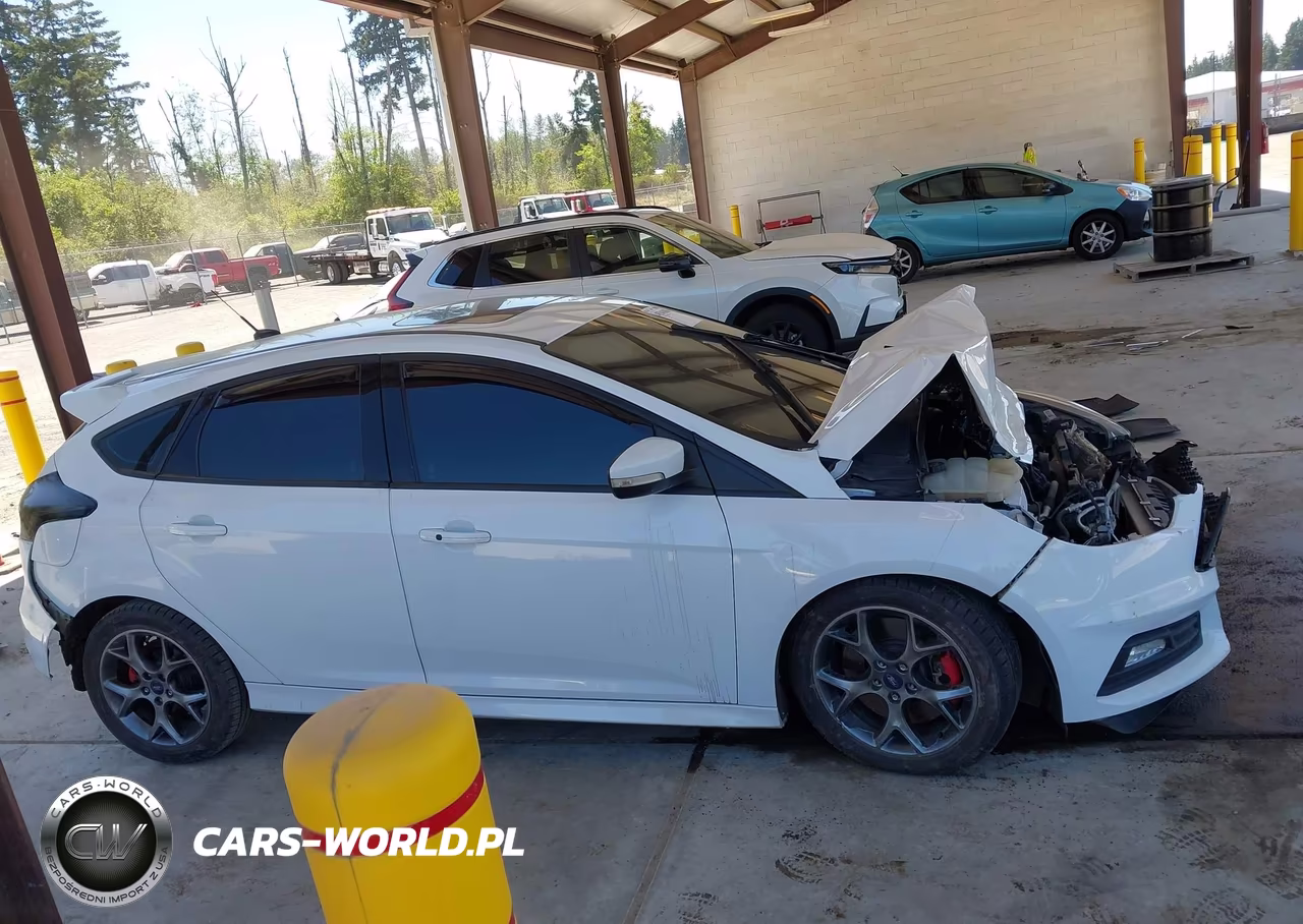 2015 Ford Focus St VIN:1FADP3L92FL281689 - 14