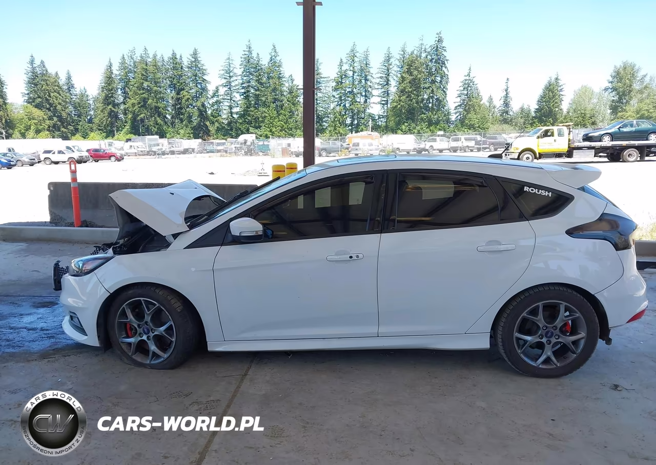 2015 Ford Focus St VIN:1FADP3L92FL281689 - 15