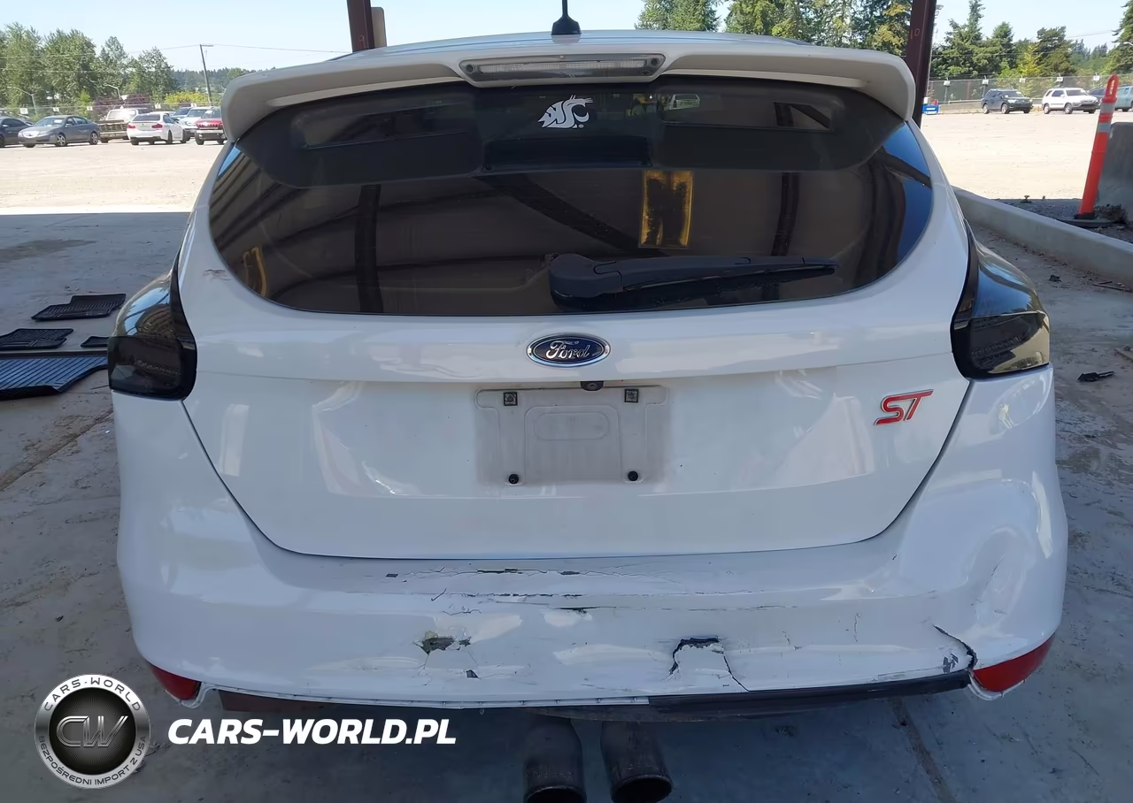 2015 Ford Focus St VIN:1FADP3L92FL281689 - 17