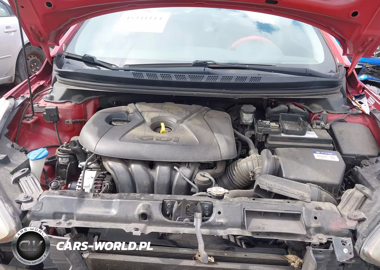 2014 Hyundai Elantra Sport VIN:KMHDH4AH6EU100704 - 10