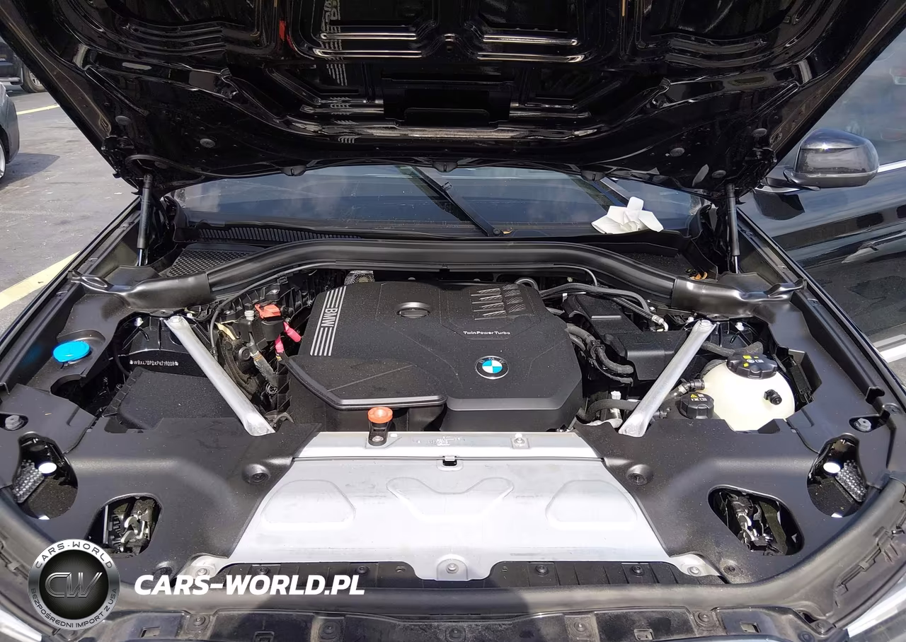 2023 BMW X3 Sdrive30I VIN:WBX47DP0XPN219008 - 10