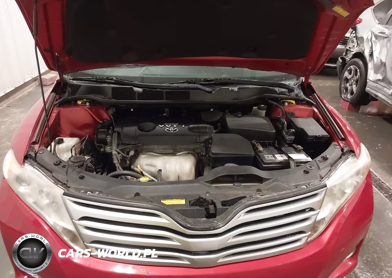 2009 Toyota Venza VIN:4T3BE11A29U006804 - 10