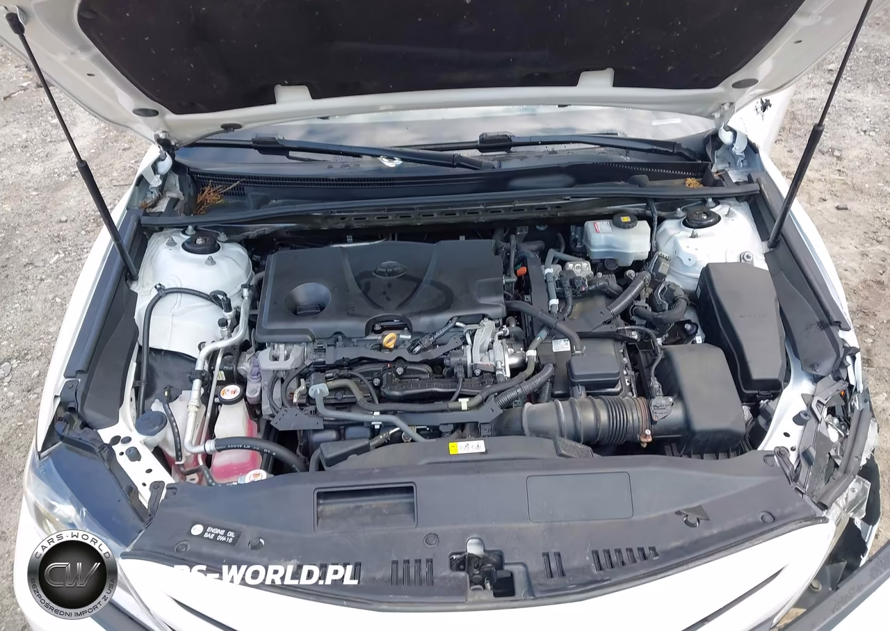 2019 Toyota Camry Hybrid Se VIN:4T1B21HK2KU516897 - 10