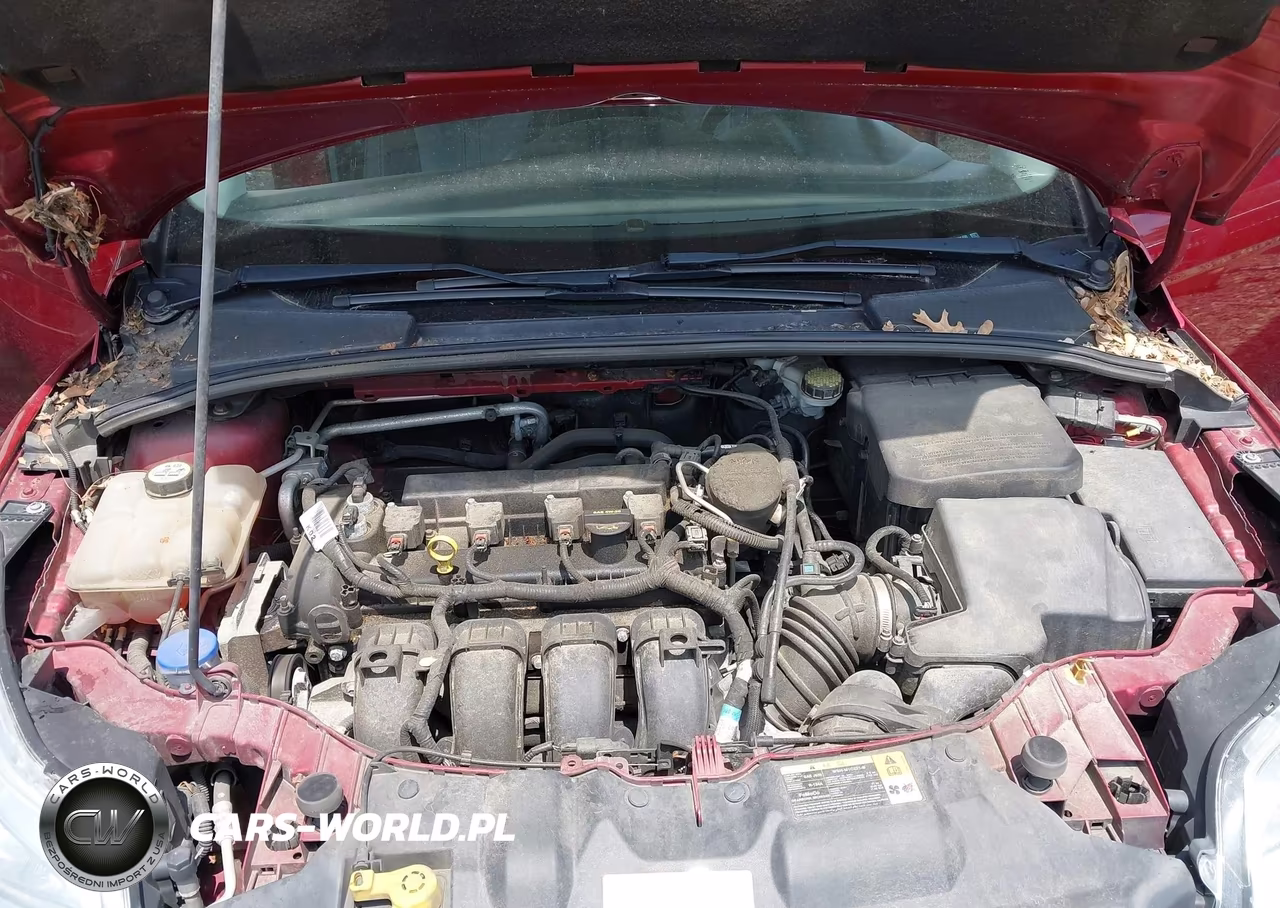2013 Ford Focus Se VIN:1FADP3K24DL206400 - 10