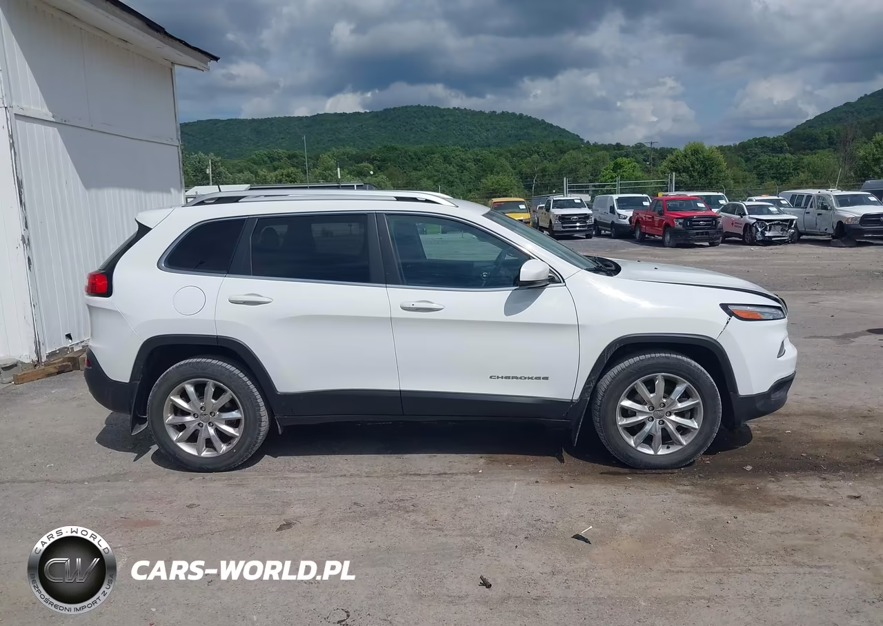 2017 Jeep Cherokee Limited 4X4 VIN:1C4PJMDB2HW597157 - 13