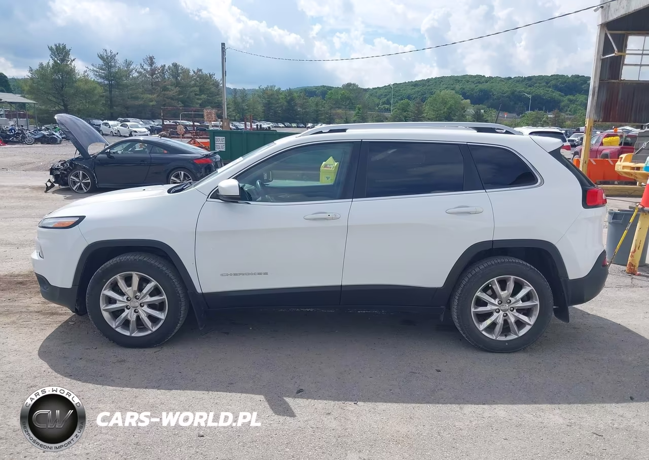 2017 Jeep Cherokee Limited 4X4 VIN:1C4PJMDB2HW597157 - 14