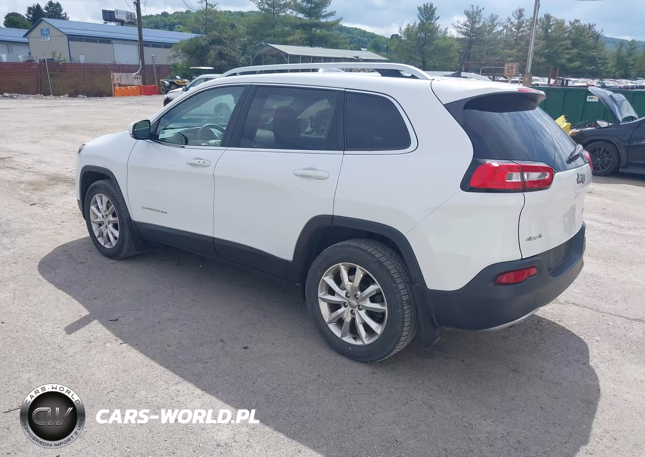 2017 Jeep Cherokee Limited 4X4 VIN:1C4PJMDB2HW597157 - 3