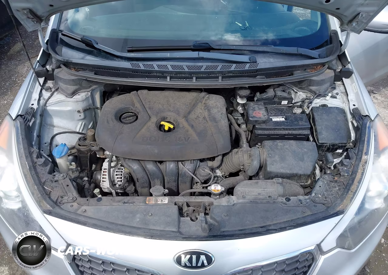 2014 Kia Forte Lx VIN:KNAFK4A66E5214383 - 10