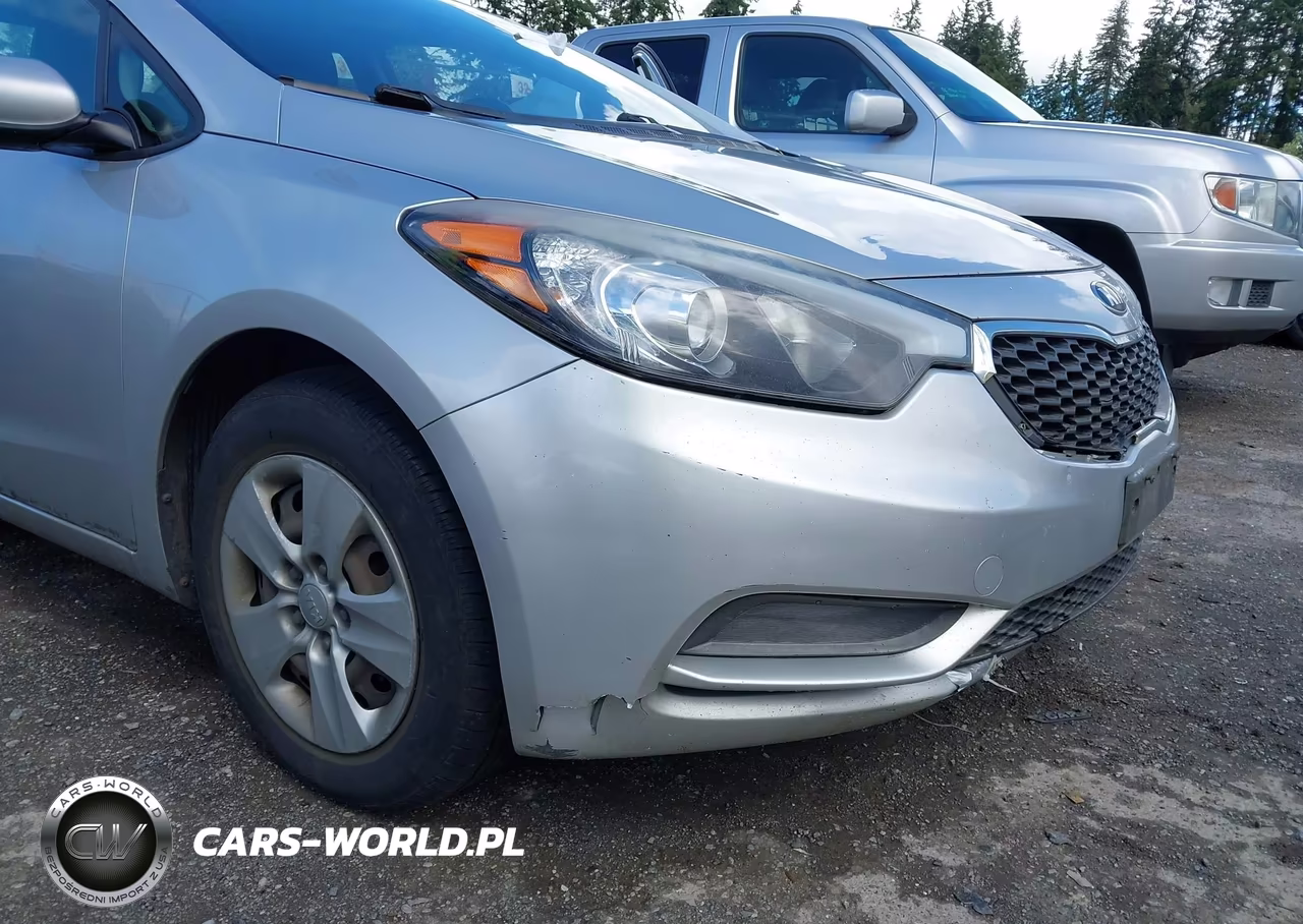 2014 Kia Forte Lx VIN:KNAFK4A66E5214383 - 12