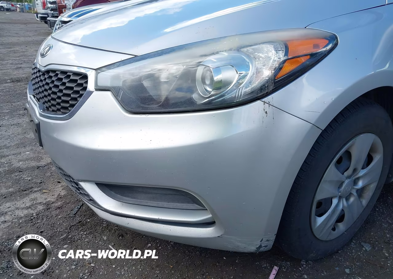 2014 Kia Forte Lx VIN:KNAFK4A66E5214383 - 13