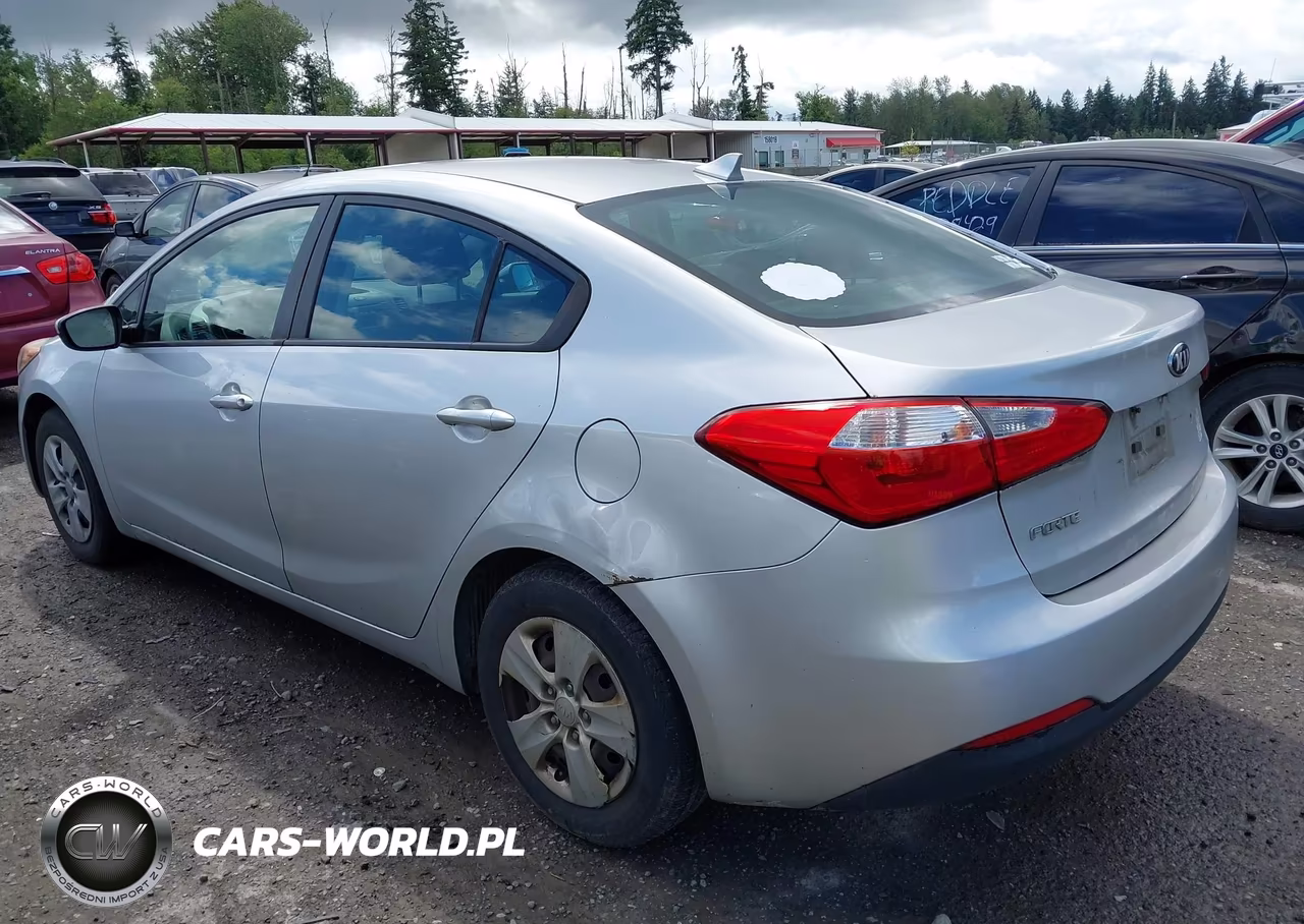 2014 Kia Forte Lx VIN:KNAFK4A66E5214383 - 3
