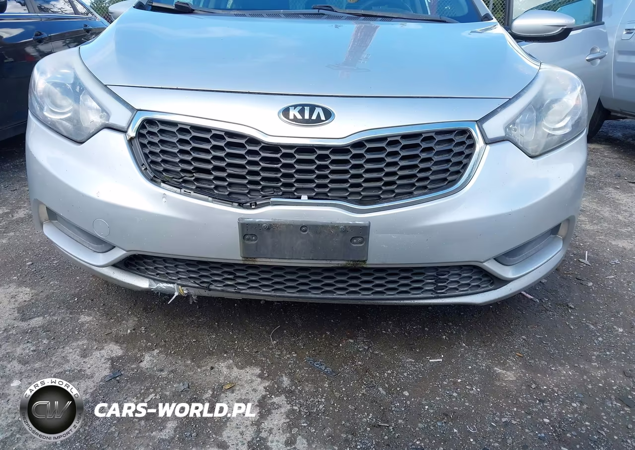 2014 Kia Forte Lx VIN:KNAFK4A66E5214383 - 6