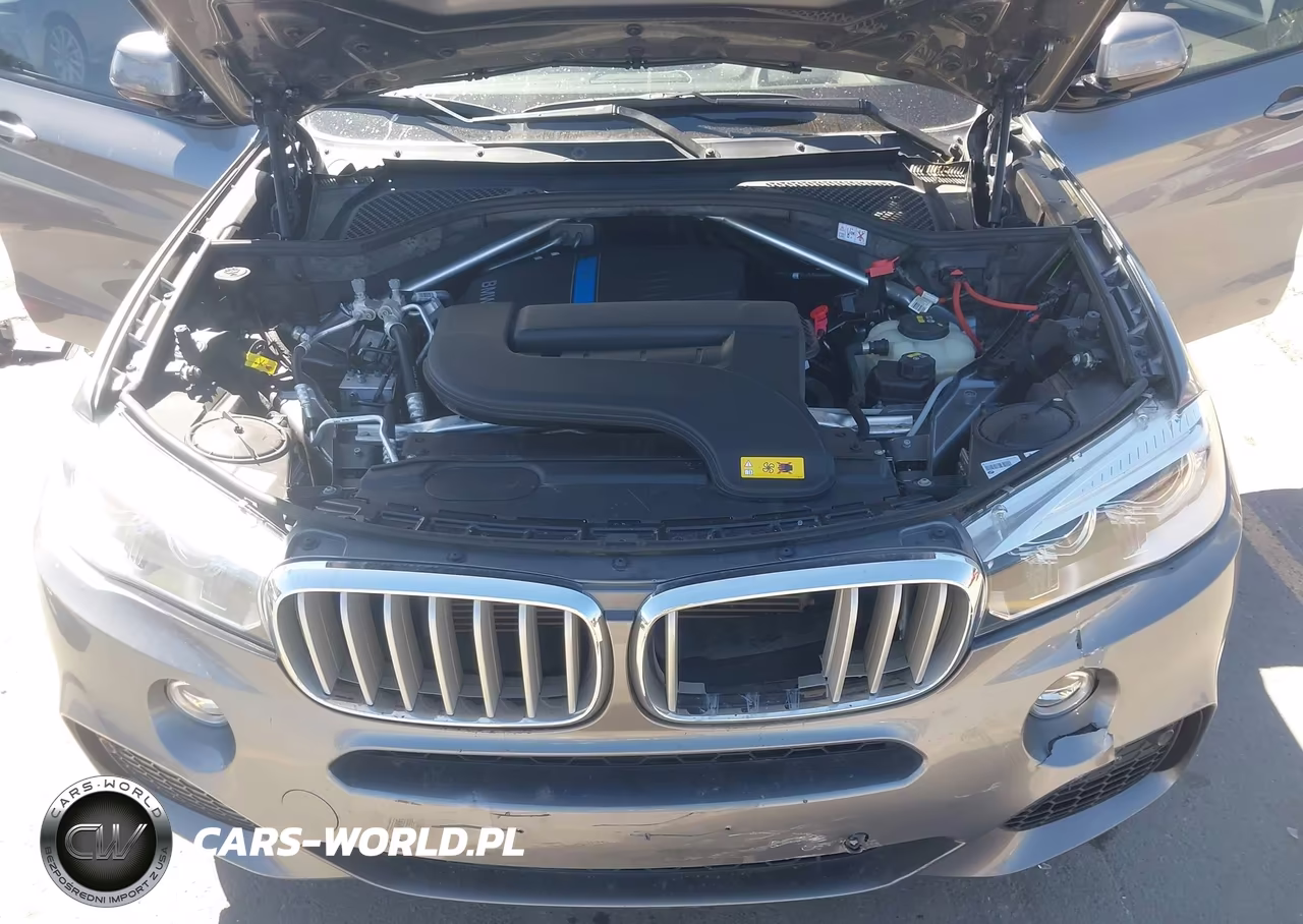2017 BMW X5 Edrive xDrive40E Iperformance VIN:5UXKT0C37H0S81505 - 10