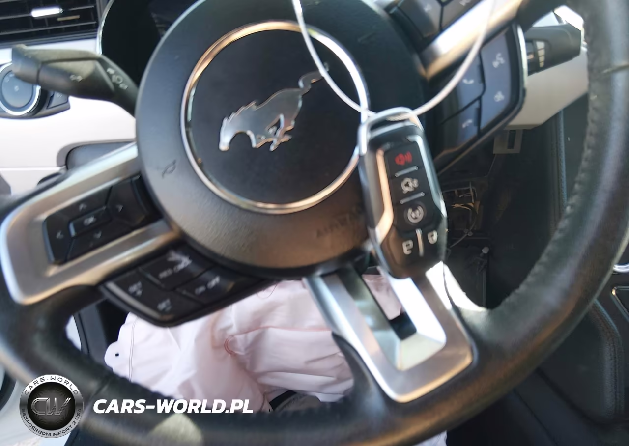 2016 Ford Mustang Ecoboost Premium VIN:1FATP8UH5G5304841 - 11