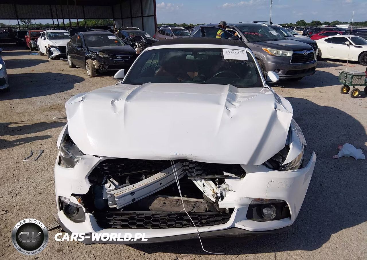 2016 Ford Mustang Ecoboost Premium VIN:1FATP8UH5G5304841 - 12