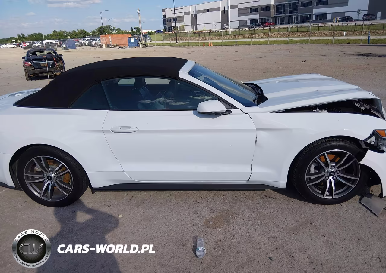 2016 Ford Mustang Ecoboost Premium VIN:1FATP8UH5G5304841 - 13
