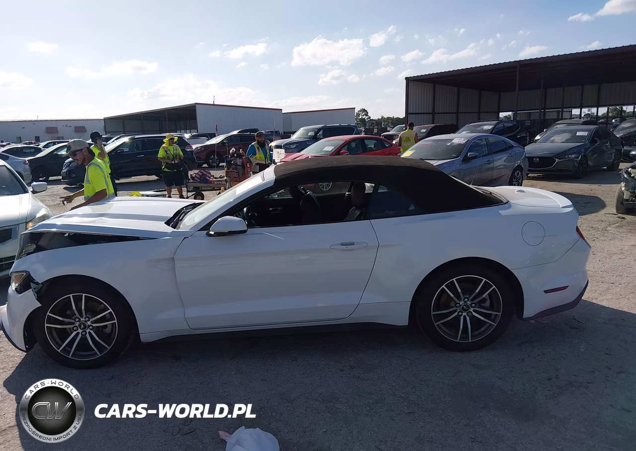 2016 Ford Mustang Ecoboost Premium VIN:1FATP8UH5G5304841 - 14