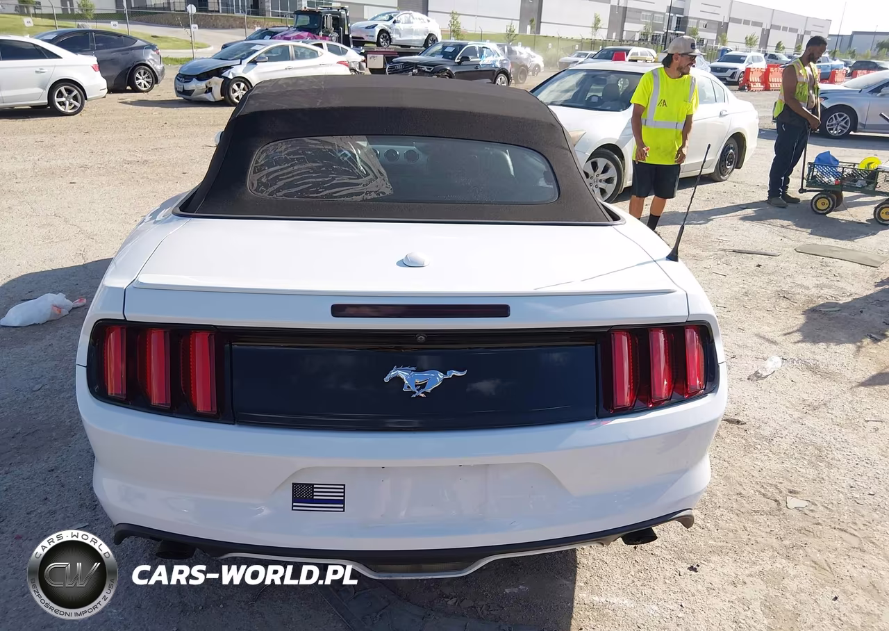 2016 Ford Mustang Ecoboost Premium VIN:1FATP8UH5G5304841 - 16