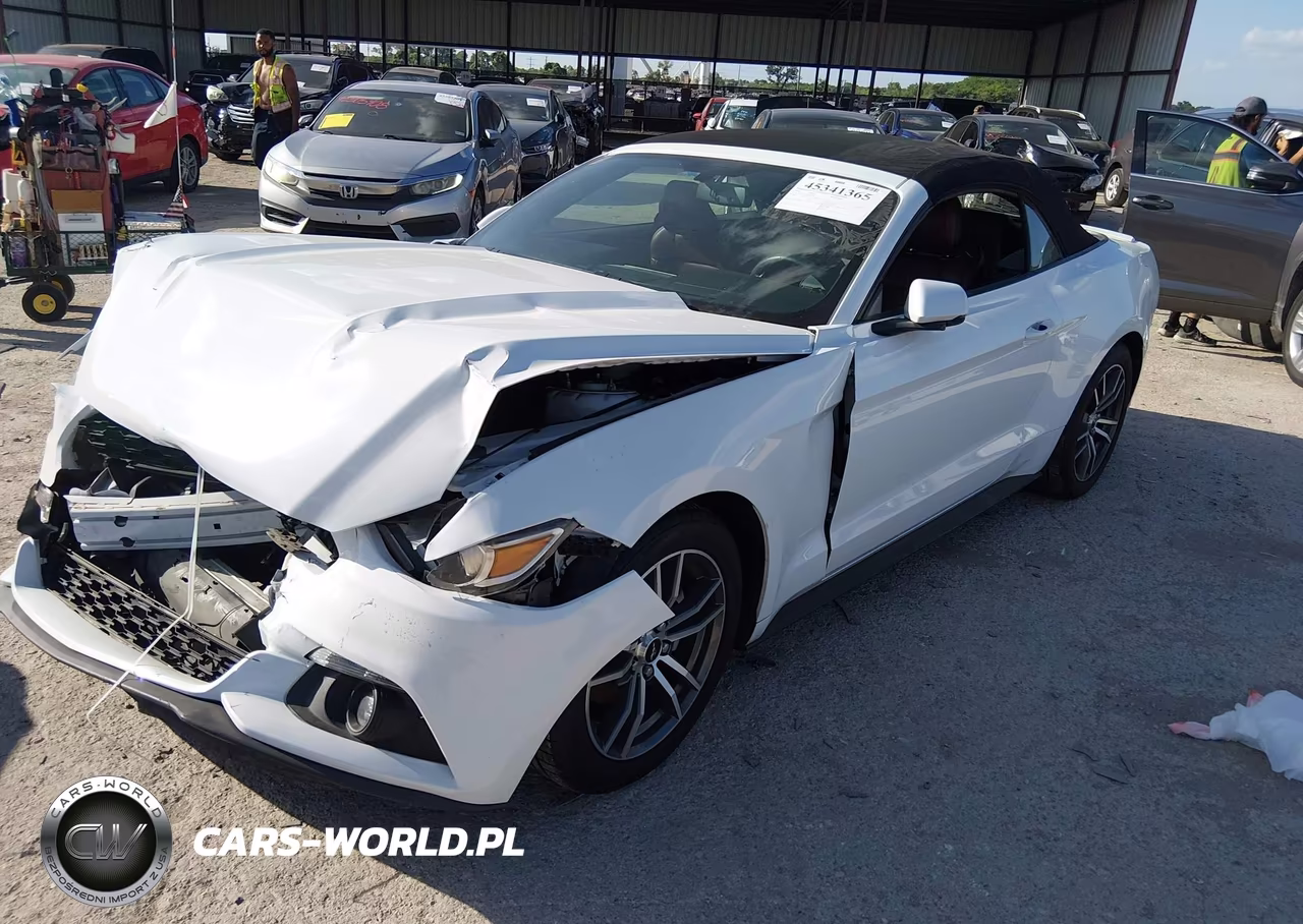 2016 Ford Mustang Ecoboost Premium VIN:1FATP8UH5G5304841 - 2