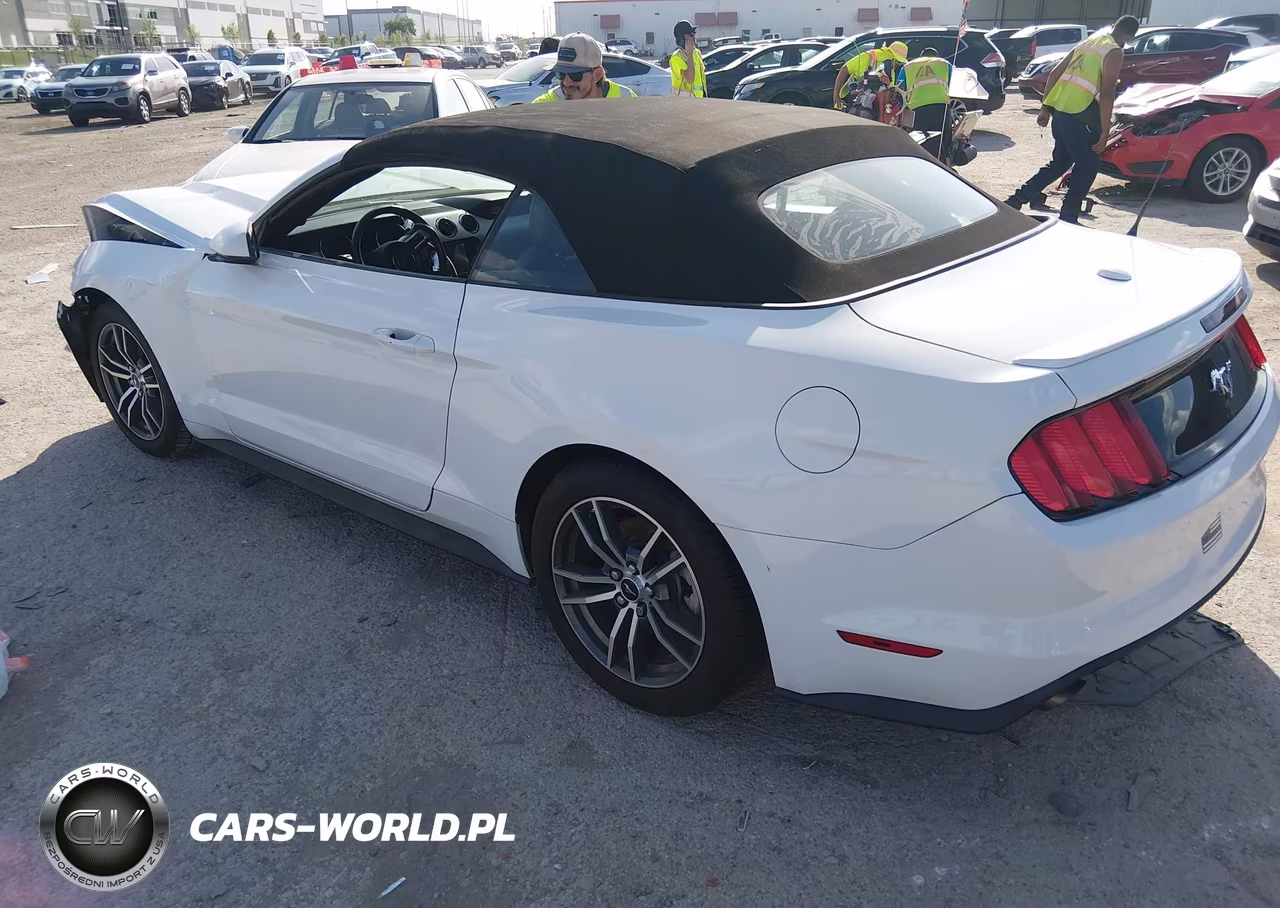 2016 Ford Mustang Ecoboost Premium VIN:1FATP8UH5G5304841 - 3