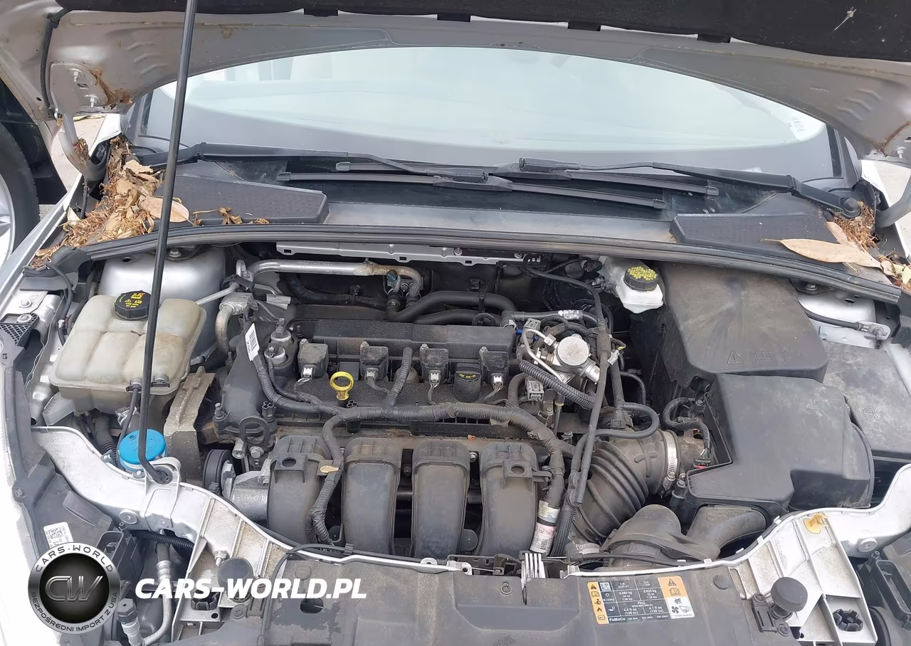 2018 Ford Focus Se VIN:1FADP3K28JL266210 - 10
