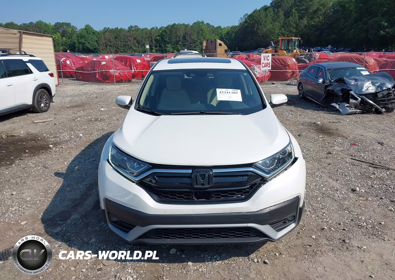 2020 Honda Cr-V 2Wd Ex VIN:2HKRW1H51LH429263 - 12
