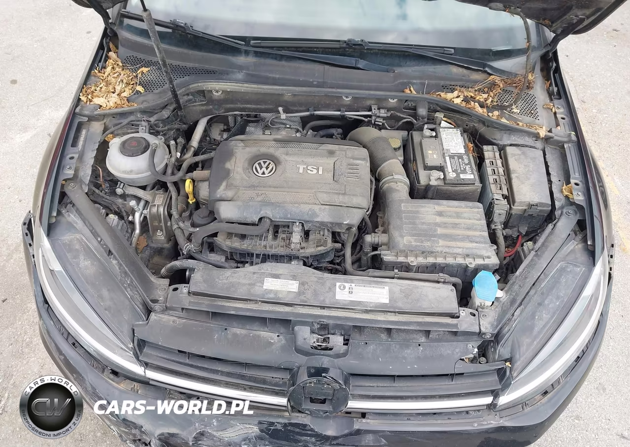 2018 Volkswagen Golf Tsi S-Tsi Se VIN:3VWG17AU8JM280736 - 10