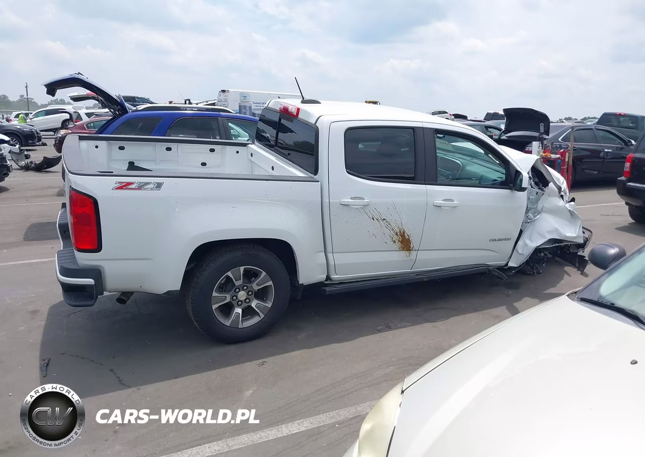 2019 Chevrolet Colorado Z71 VIN:1GCGTDEN4K1313616 - 13