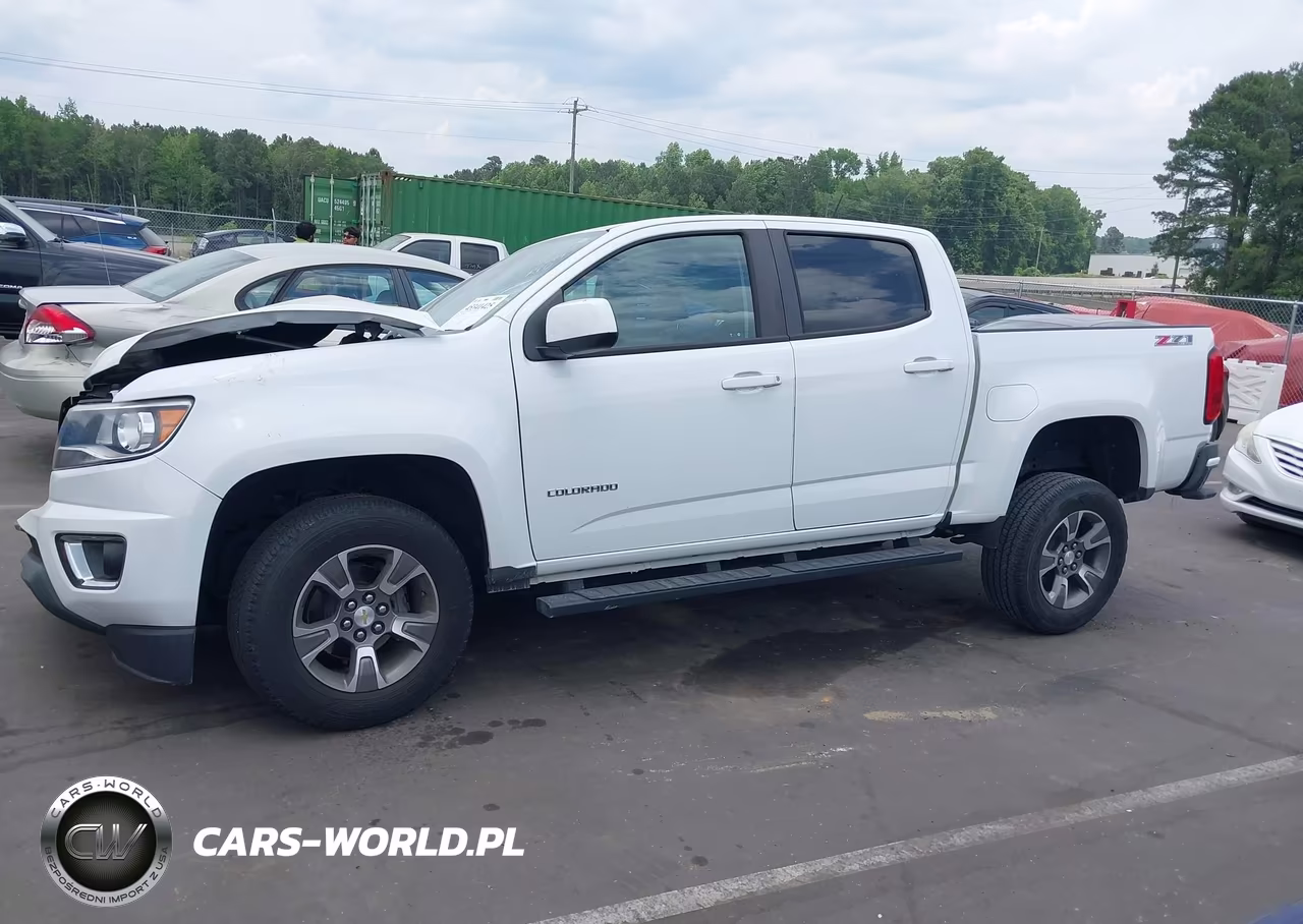 2019 Chevrolet Colorado Z71 VIN:1GCGTDEN4K1313616 - 14