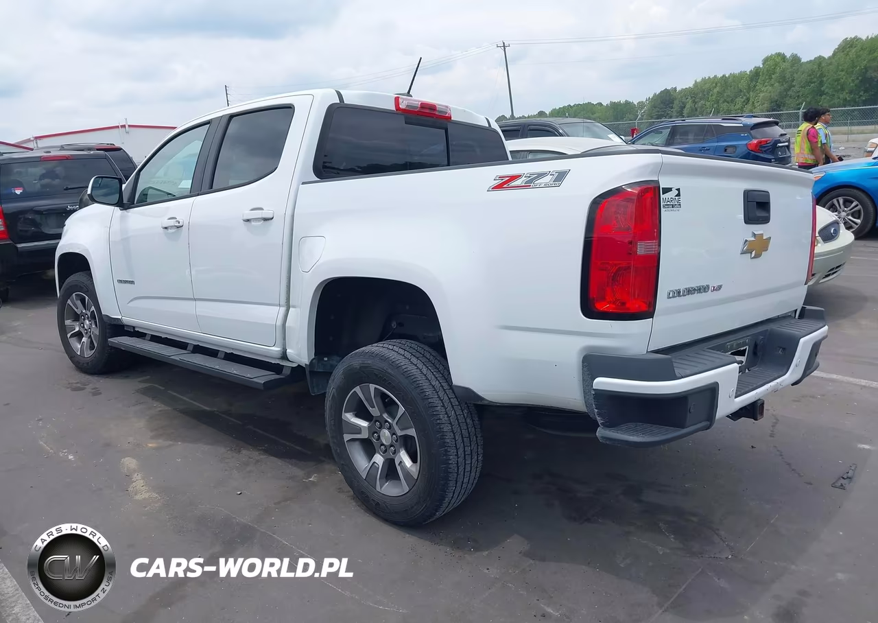 2019 Chevrolet Colorado Z71 VIN:1GCGTDEN4K1313616 - 3