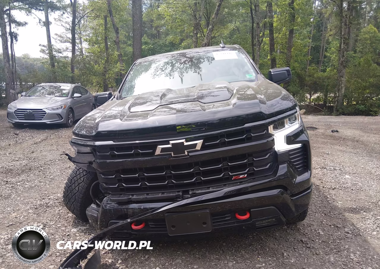 2025 Chevrolet Silverado 1500 4Wd Short Bed Lt Trail Boss VIN:3GCUKFED1SG160896 - 13