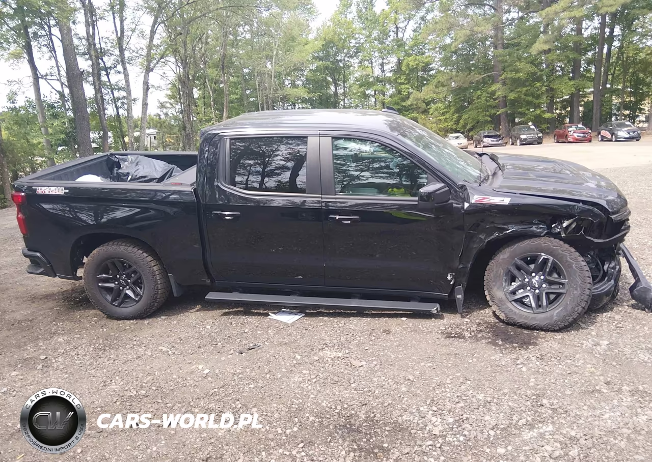 2025 Chevrolet Silverado 1500 4Wd Short Bed Lt Trail Boss VIN:3GCUKFED1SG160896 - 14