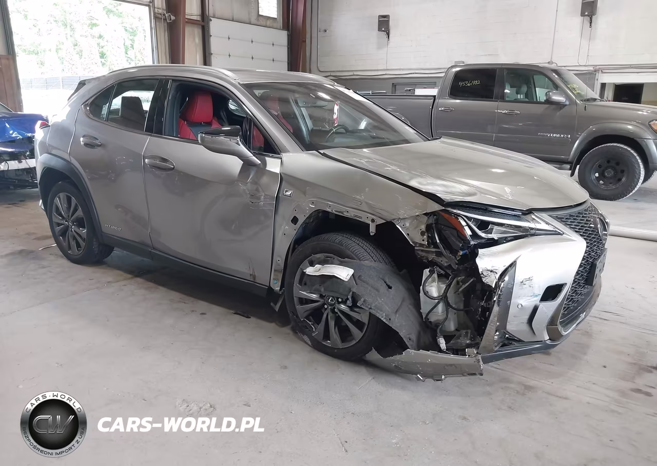 2019 Lexus Ux 250H F Sport
