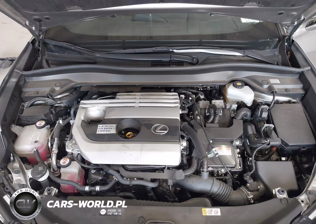 2019 Lexus Ux 250H F Sport VIN:JTHU9JBH5K2010528 - 10
