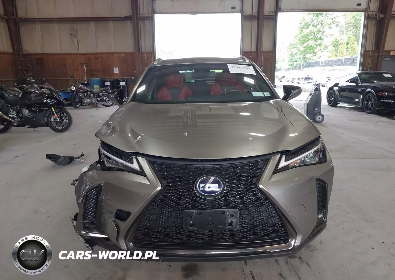 2019 Lexus Ux 250H F Sport VIN:JTHU9JBH5K2010528 - 12